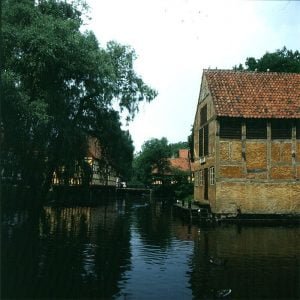aarhus-dorfteich