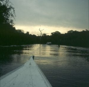 amazonas-bootsfahrt-in hochwasserzeit ohne tiere