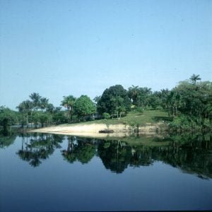 amazonas-seltene sandufer