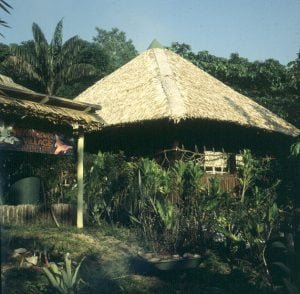 amazonas-urwald-hotel