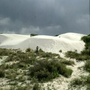 White Sands mit Gipsdünen 1983