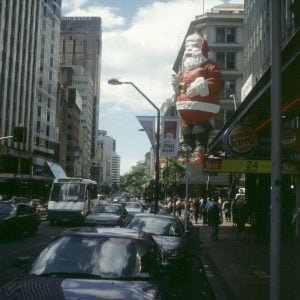 auckland nikolaus