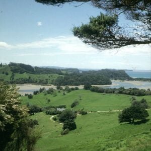 auckland-recreation