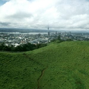 auckland totale 1