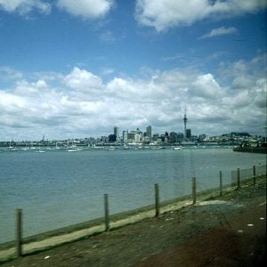 auckland totale 2