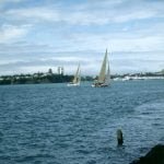 auckland-segeltraining