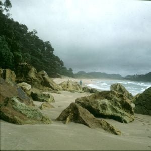 bay of islands warm strand