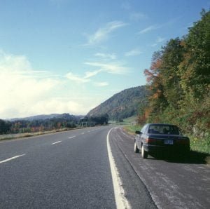 Aus Wäldern Neuenglands in die Küstenebene 1988
