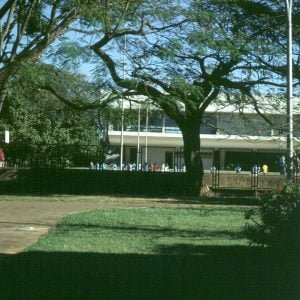 brasilia-schule