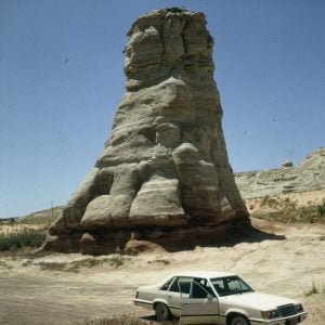 Elefant Feet 1983
