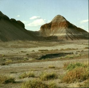 Painted Desert 1983