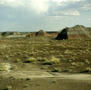 bridges-Painted Desert 1983