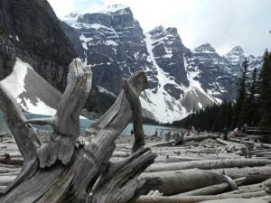 canada-banff-N.P.025