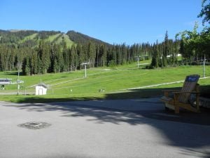 canada-skikurort mit Bären um die Ecke