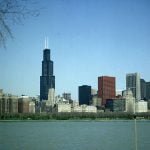 chicago-sears-tower-fern