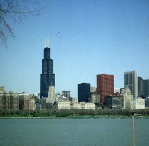 chicago sears tower fern