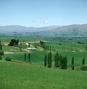 neuseeland-christchurch-parklandschaft 2001