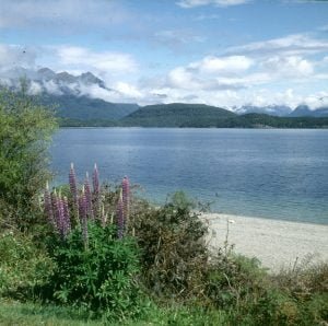 neuseeland-christchurch-wanaka 2001