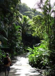 hawaii-im botanischen Park 054