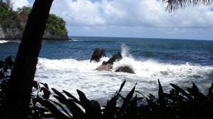 hawaii-stille Küste-104