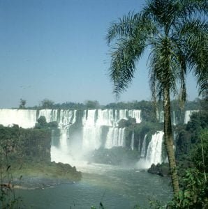 iguazu-falls-palme