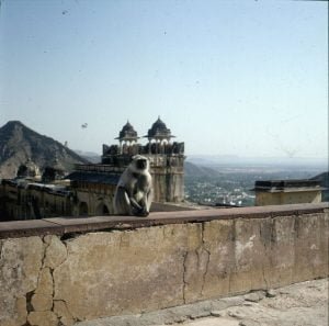 Indien in Festung Amber 1999