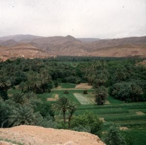 Marokko-Draatal 1995