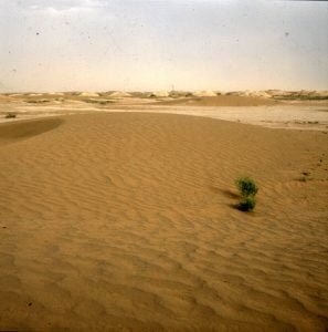 Marokko-Sandwueste 1995