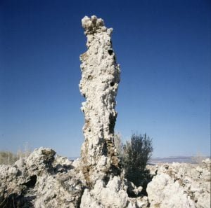 mono-lake-saeule