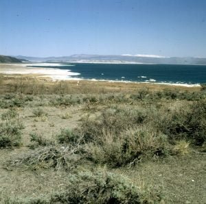 mono-lake-totale-2