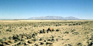 namibia-etoscha-brandberg 1987