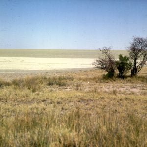 namibia-etoschapfanne-salzsee 1987