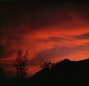 namibia--aiais Flußoase 1987