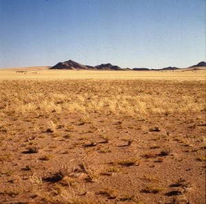 namibia-Kuisibwüste 1987