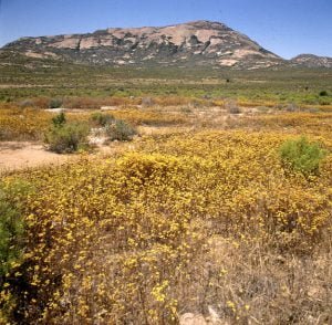 namibia-Am Oranjefluss 1987