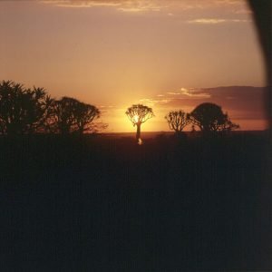 namibia-koecherbaum-sonnenuntergang 1987