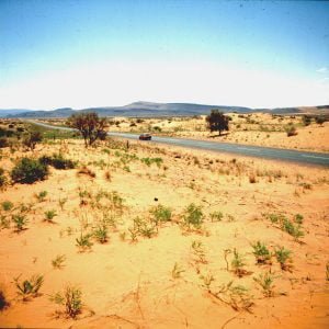 namibia-kalahariwüste 1987