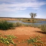 namibia-wüstenidylle 1987