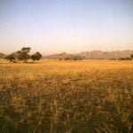 namibia-sossusvlei-campmorgen 1987