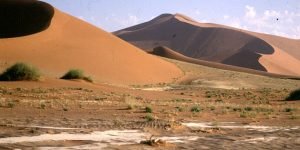 namibia-sossusvlei-duene-anfahrt 1987