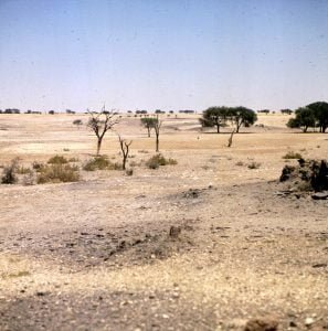 Namibia Fahrt zum Sossusvlei 1987