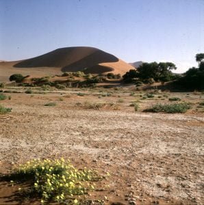 Namibia Im Sossusvlei 1987