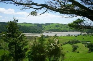 neuseeland auckland 003