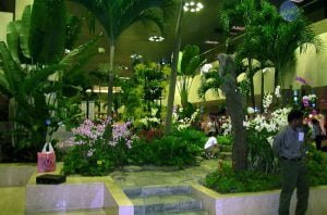 neuseeland auckland 008