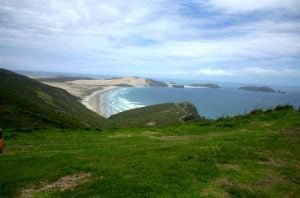 neuseeland bay of islands 005