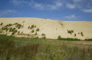 neuseeland bay of islands 029