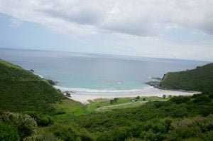 neuseeland-stewart-island-2001