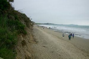 neuseeland-stewart-island-2001