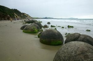 neuseeland-stewart-island-2001