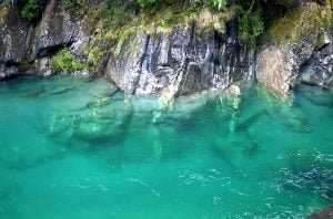 neuseeland-stewart-island-2001